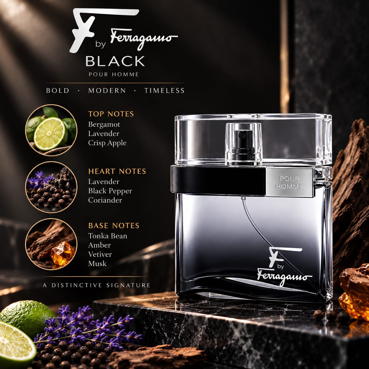 Salvatore Ferragamo F By Ferragamo Black Perfume For Men EDT 100ml