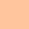 128 Warm Nude