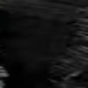 Noir Black